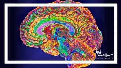 بهترین رژیم غذایی برای افسردگی کدام است؟ بهترین رژیم غذایی برای افسردگی کدام است؟