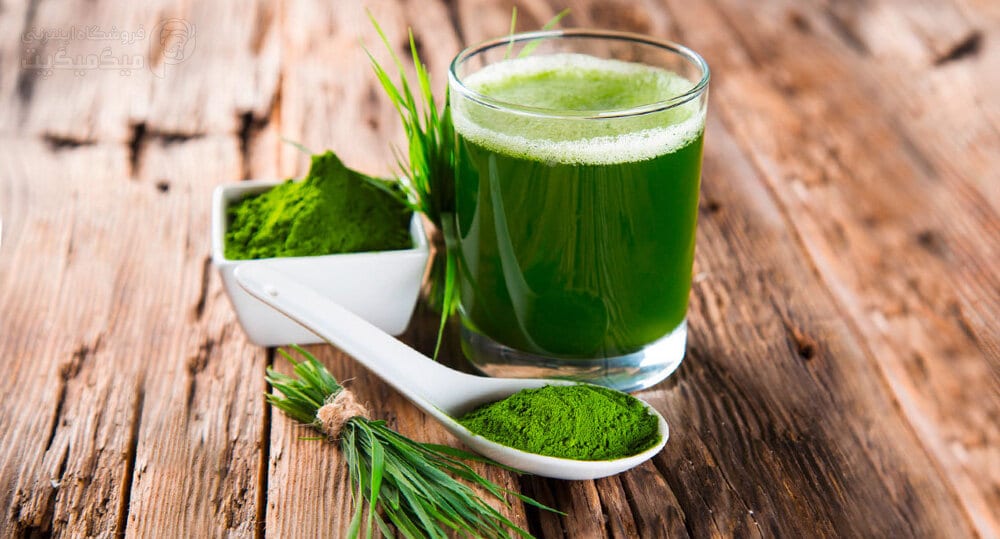 آیا قرص‌های جلبک واقعاً لاغر می کنند؟/ این قرص‌ها برای چه کسانی منع مصرف دارند؟