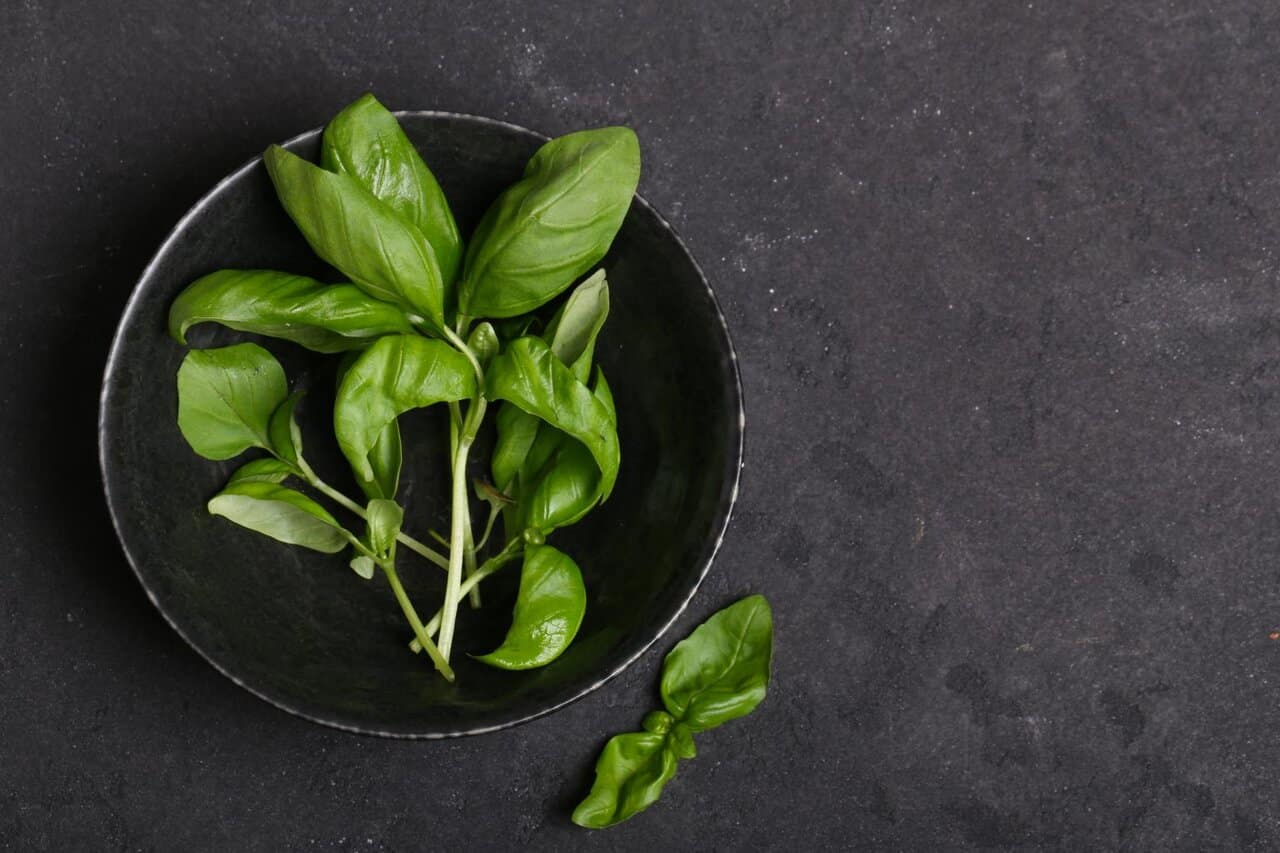 هفت دمنوش‌ مناسب برای رفع خستگی