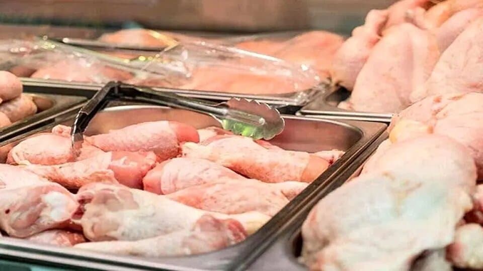 آیا واقعا جگر مرغ محل ذخیره سموم است؟/ حد مجاز مصرف جگر در ماه/ دل و جگر مرغ بهتر است یا گوسفند؟